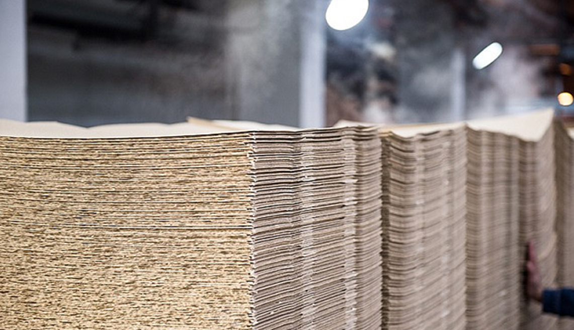 Zellstoffprojekt Shandong Rizhao